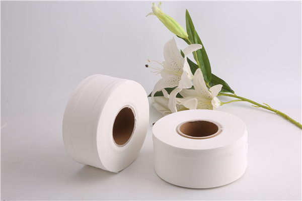 亲肤健康大盘纸